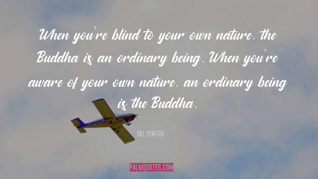 Buddha Nature quotes by Bill Porter