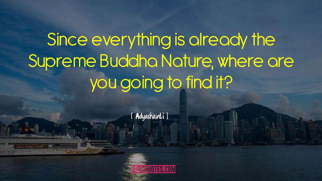 Buddha Nature quotes by Adyashanti