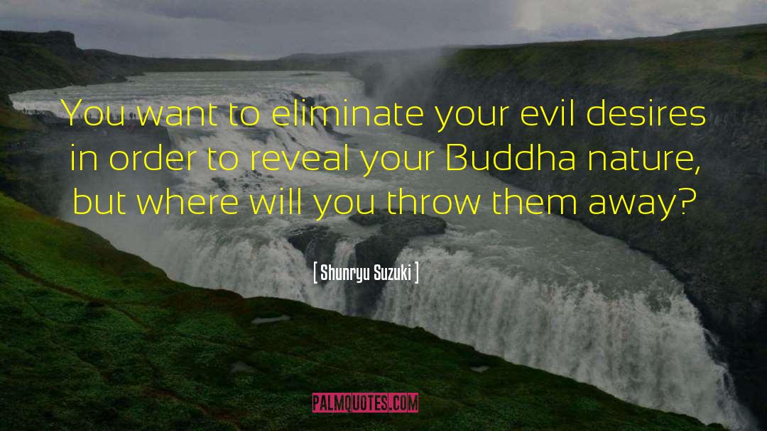 Buddha Nature quotes by Shunryu Suzuki