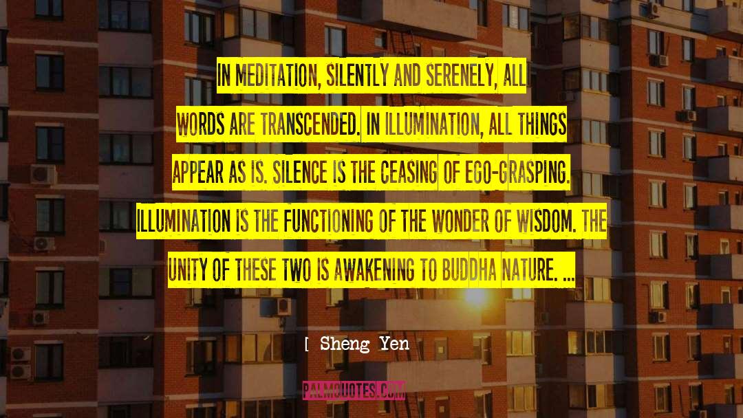 Buddha Nature quotes by Sheng Yen