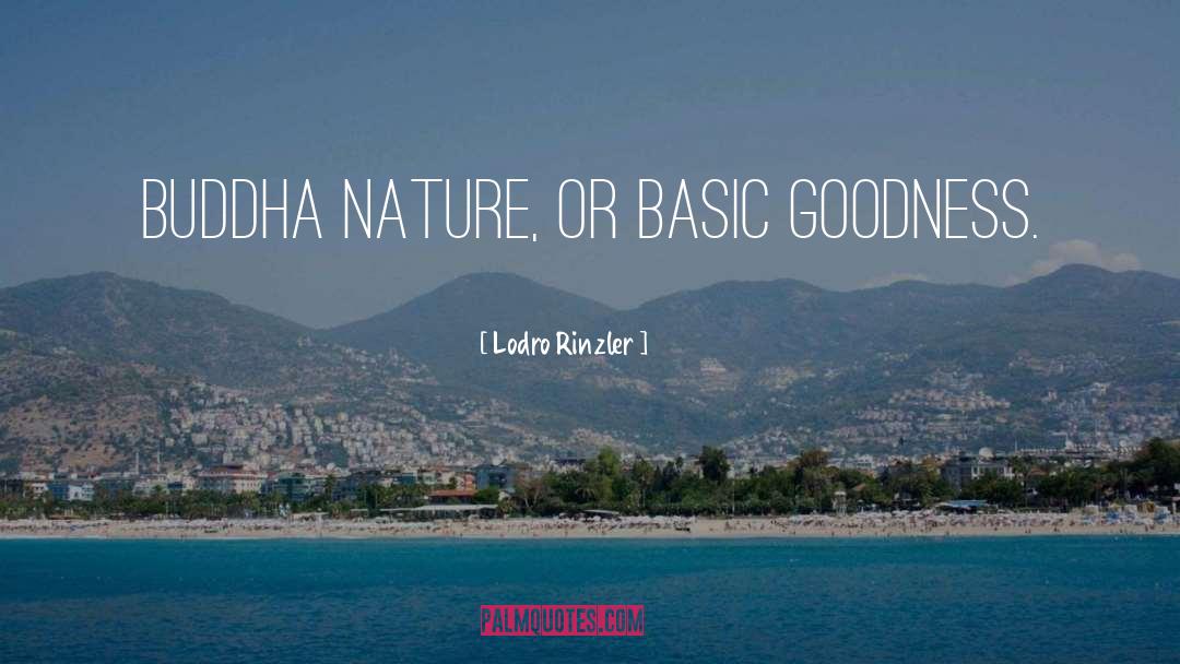 Buddha Nature quotes by Lodro Rinzler