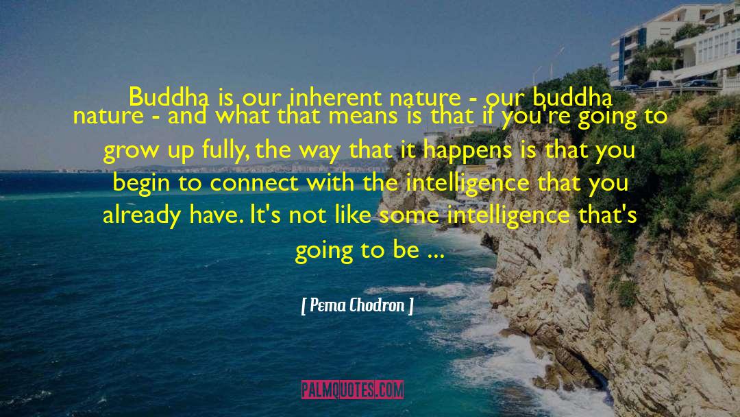 Buddha Nature quotes by Pema Chodron