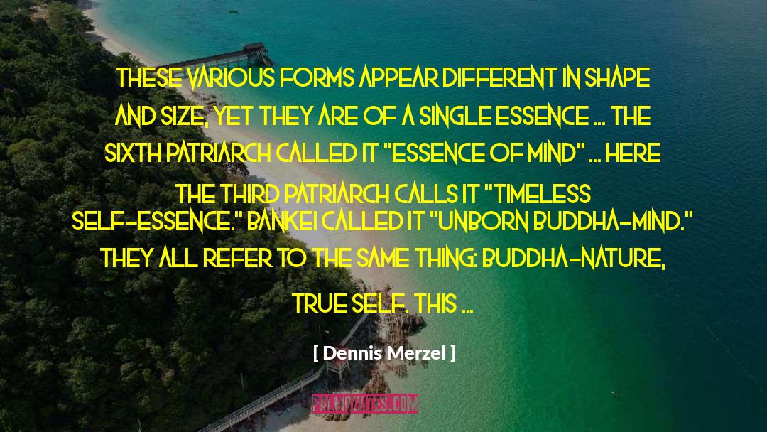 Buddha Nature quotes by Dennis Merzel