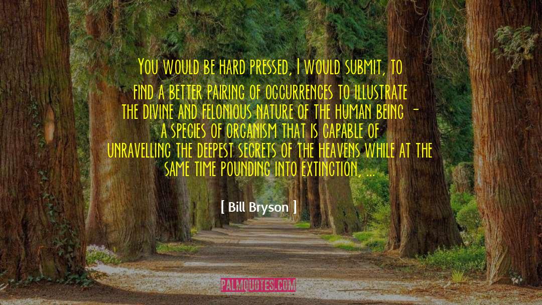 Buddha Nature quotes by Bill Bryson