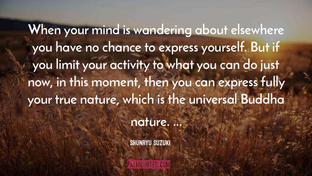 Buddha Nature quotes by Shunryu Suzuki