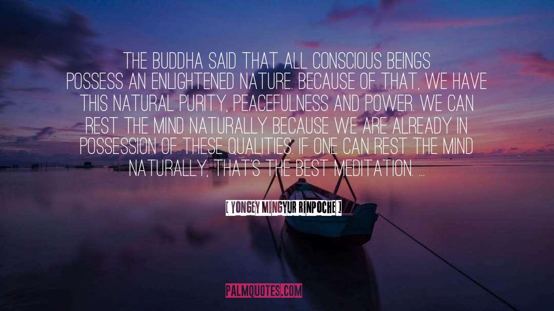 Buddha quotes by Yongey Mingyur Rinpoche