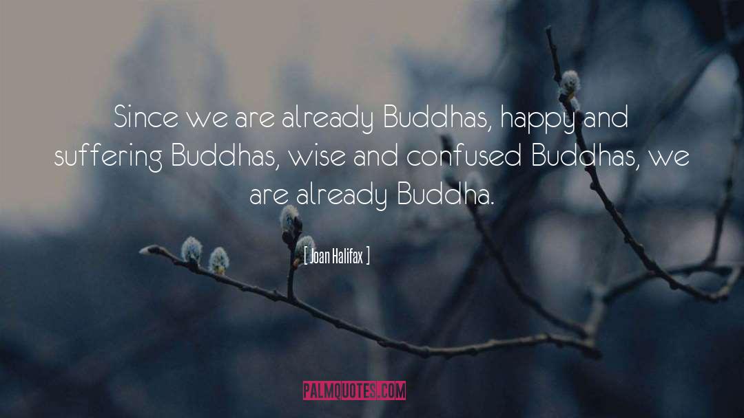 Buddha Sutra quotes by Joan Halifax