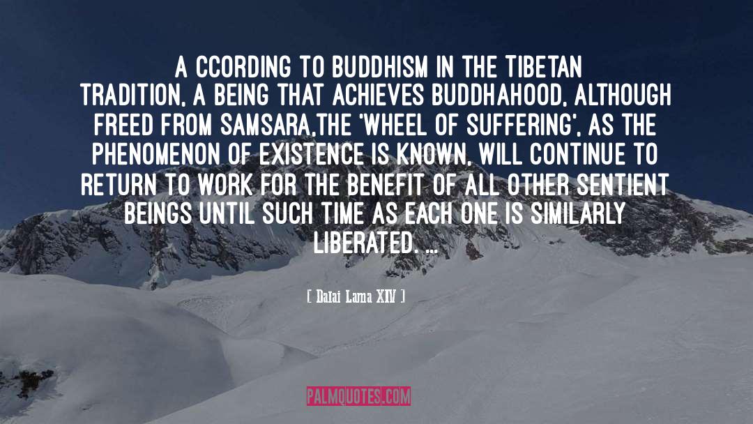 Buddhahood quotes by Dalai Lama XIV