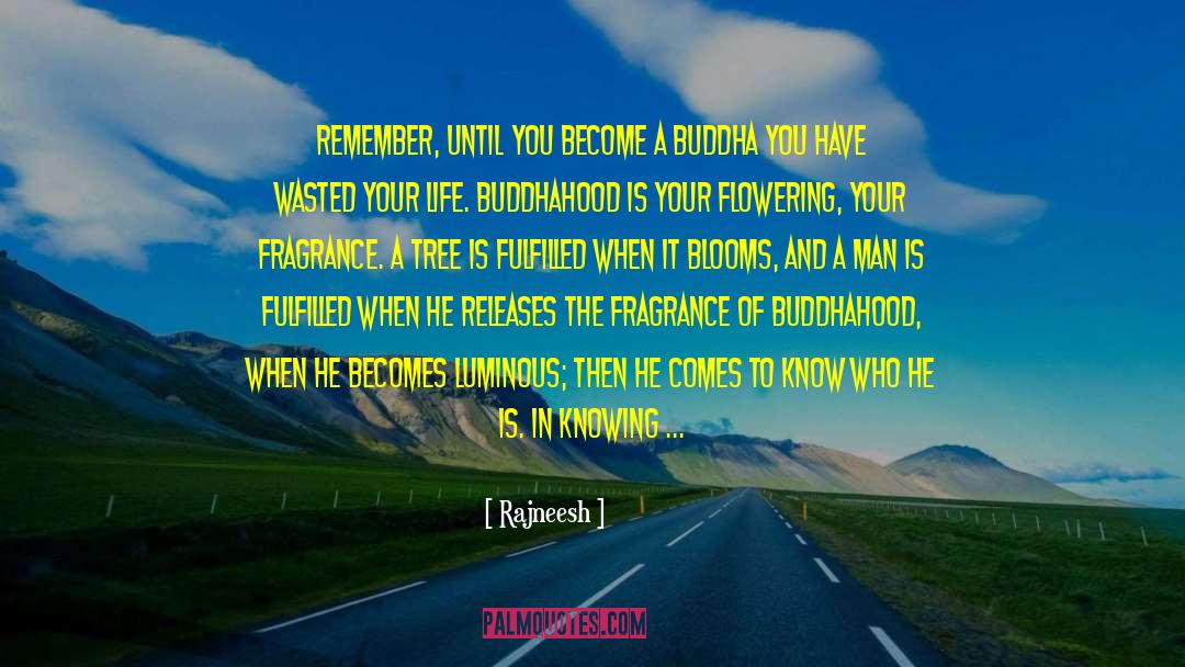 Buddhahood quotes by Rajneesh