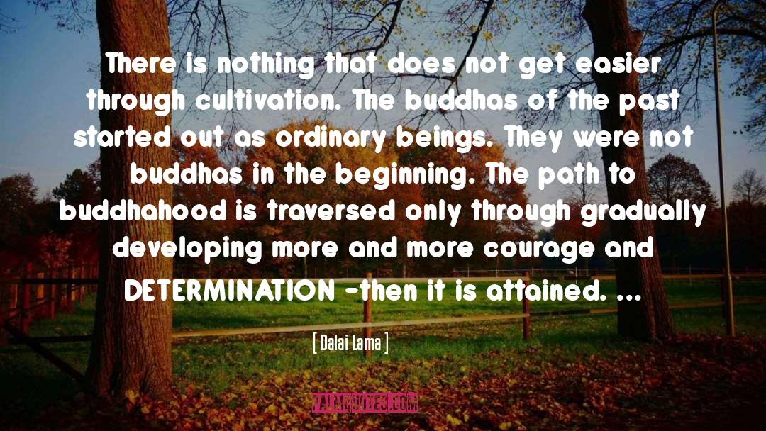 Buddhahood quotes by Dalai Lama