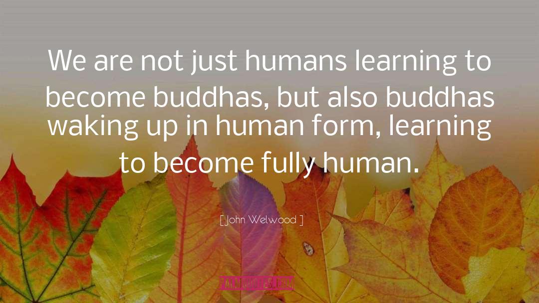 Buddhas quotes by John Welwood