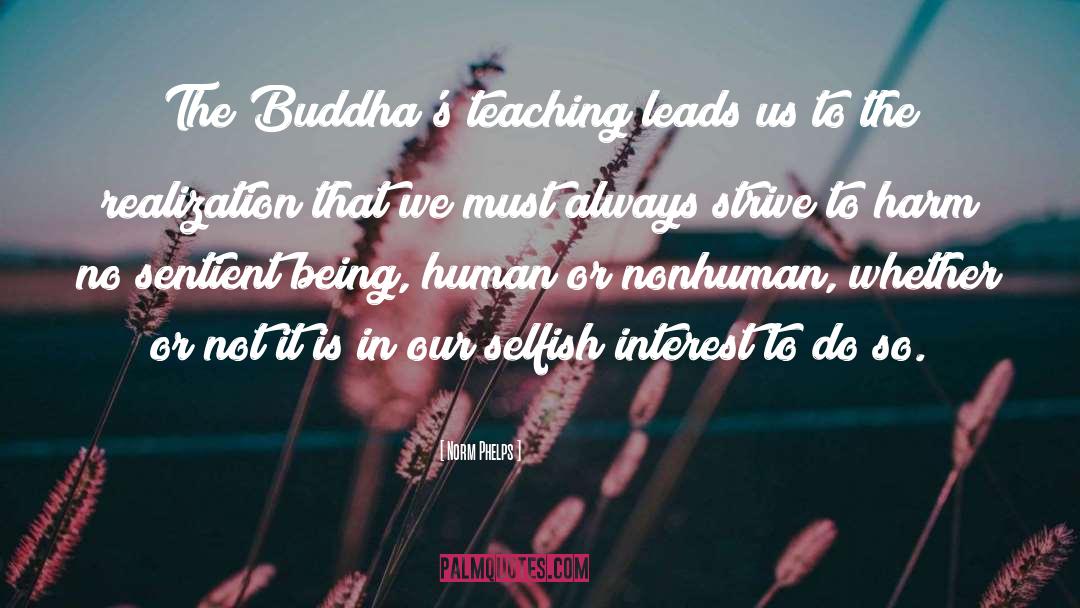 Buddhas quotes by Norm Phelps