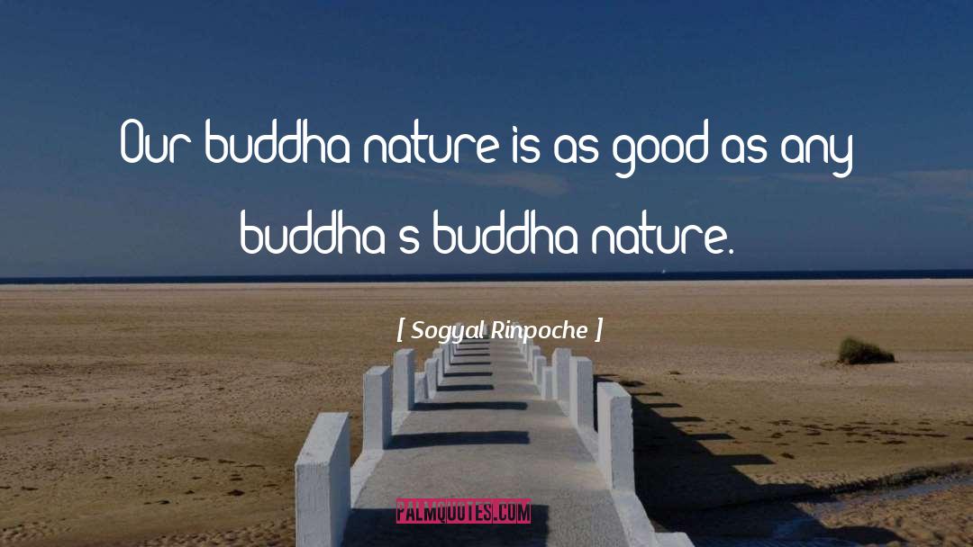 Buddhas quotes by Sogyal Rinpoche