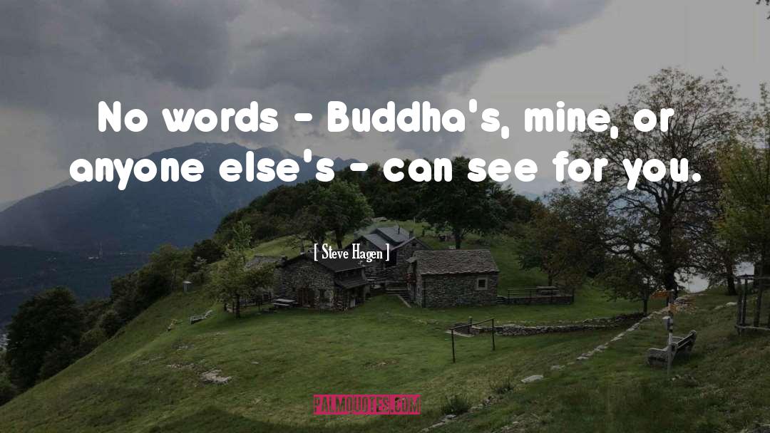 Buddhas quotes by Steve Hagen