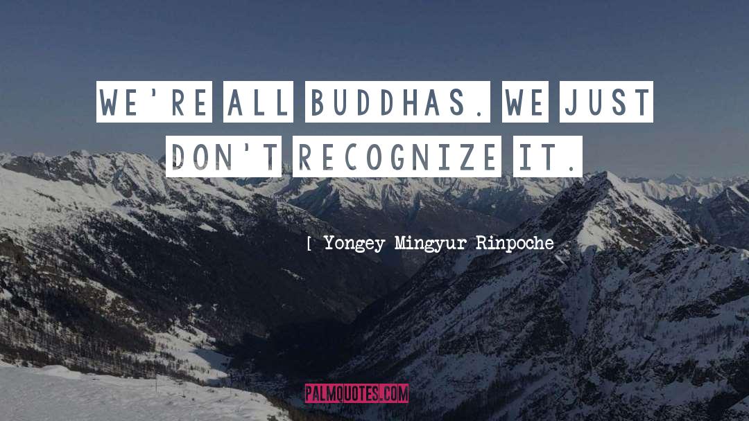 Buddhas quotes by Yongey Mingyur Rinpoche