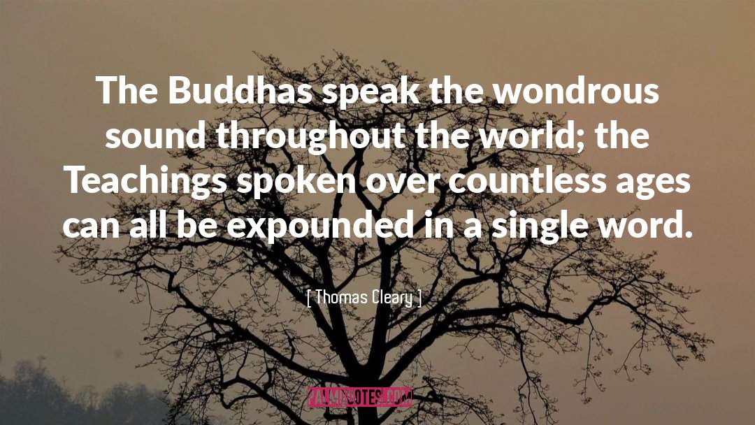 Buddhas quotes by Thomas Cleary