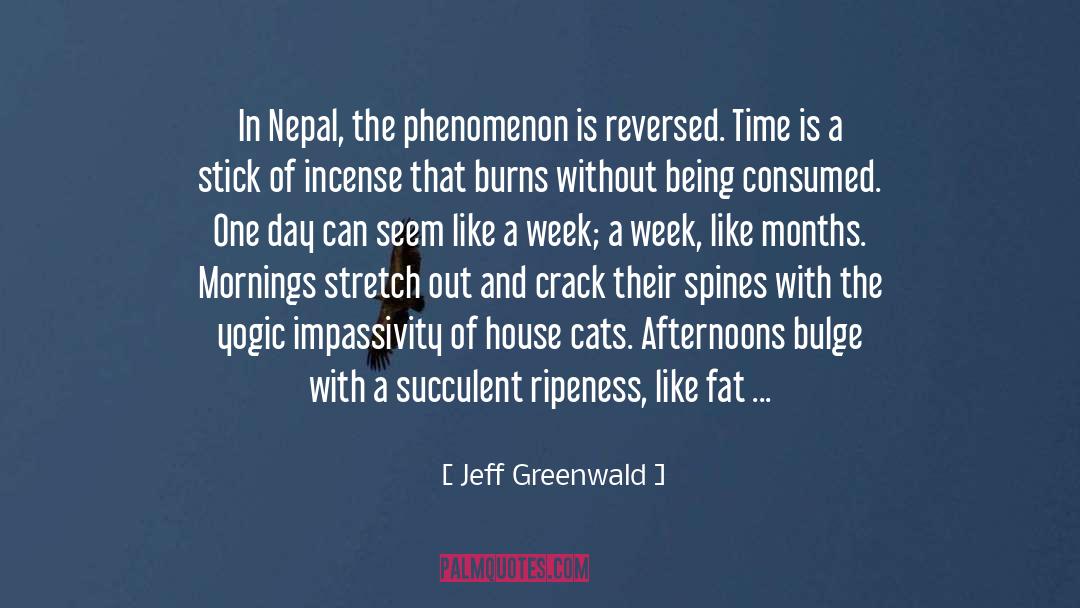 Buddhas quotes by Jeff Greenwald