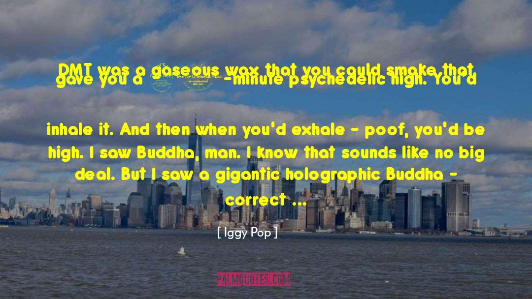Buddhas quotes by Iggy Pop