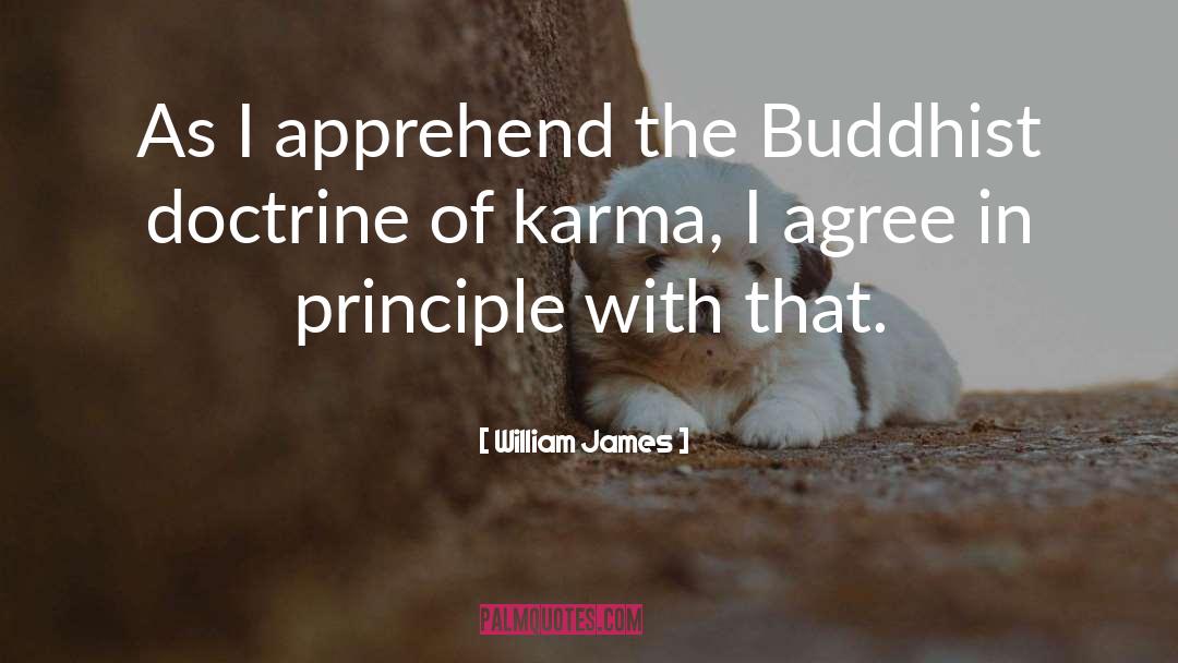 Buddhist Funeral quotes by William James