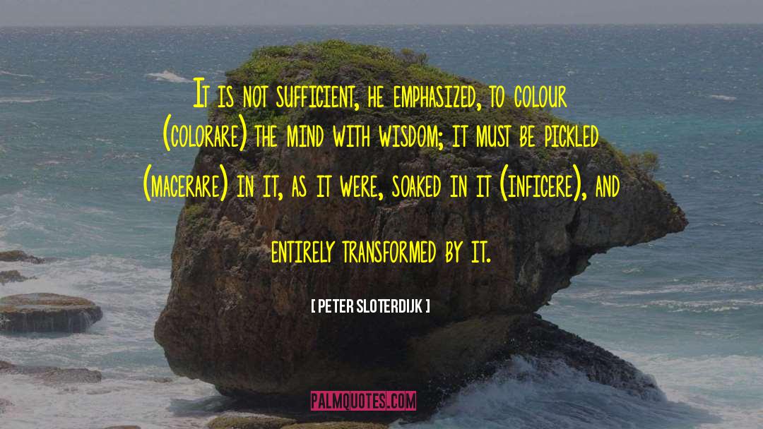 Buddhist Wisdom quotes by Peter Sloterdijk