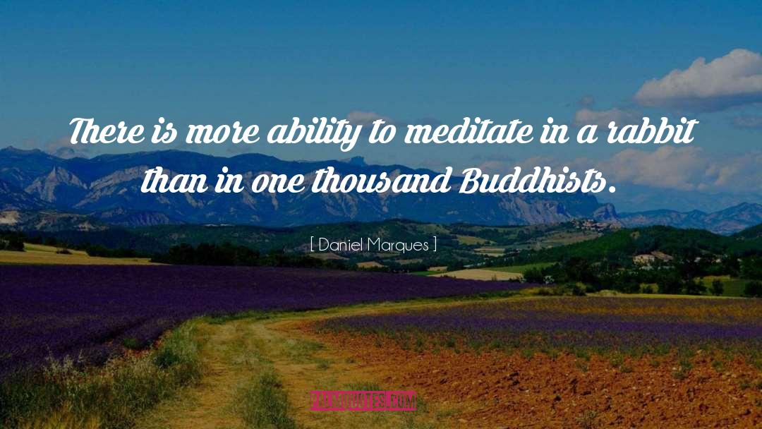 Buddhists quotes by Daniel Marques