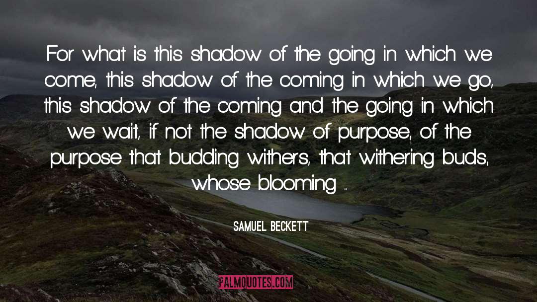 Budding quotes by Samuel Beckett