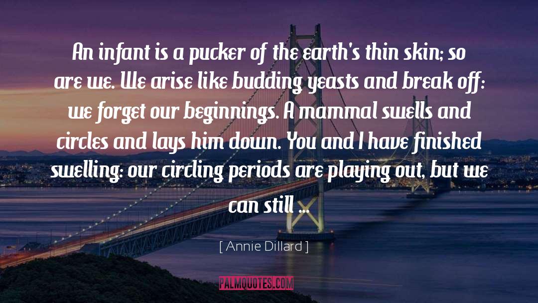 Budding quotes by Annie Dillard