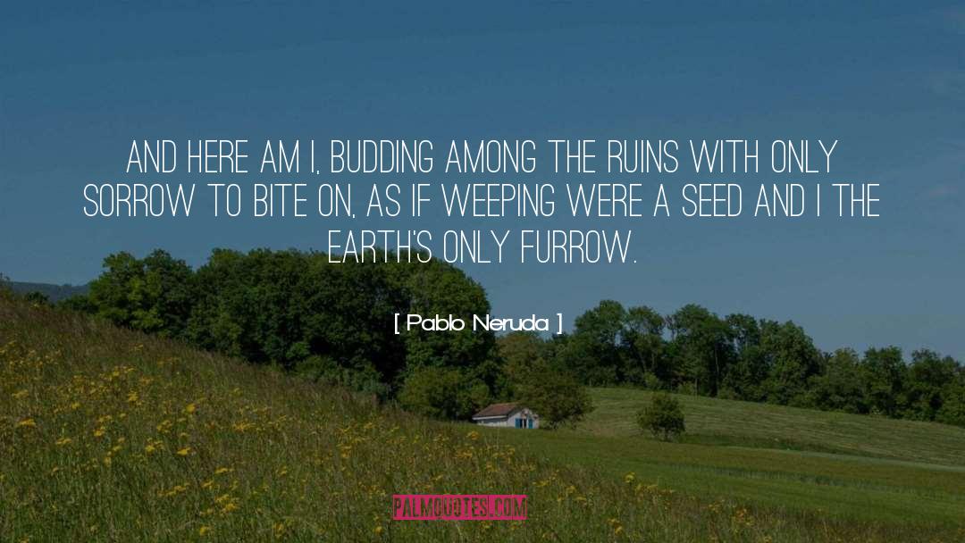 Budding quotes by Pablo Neruda