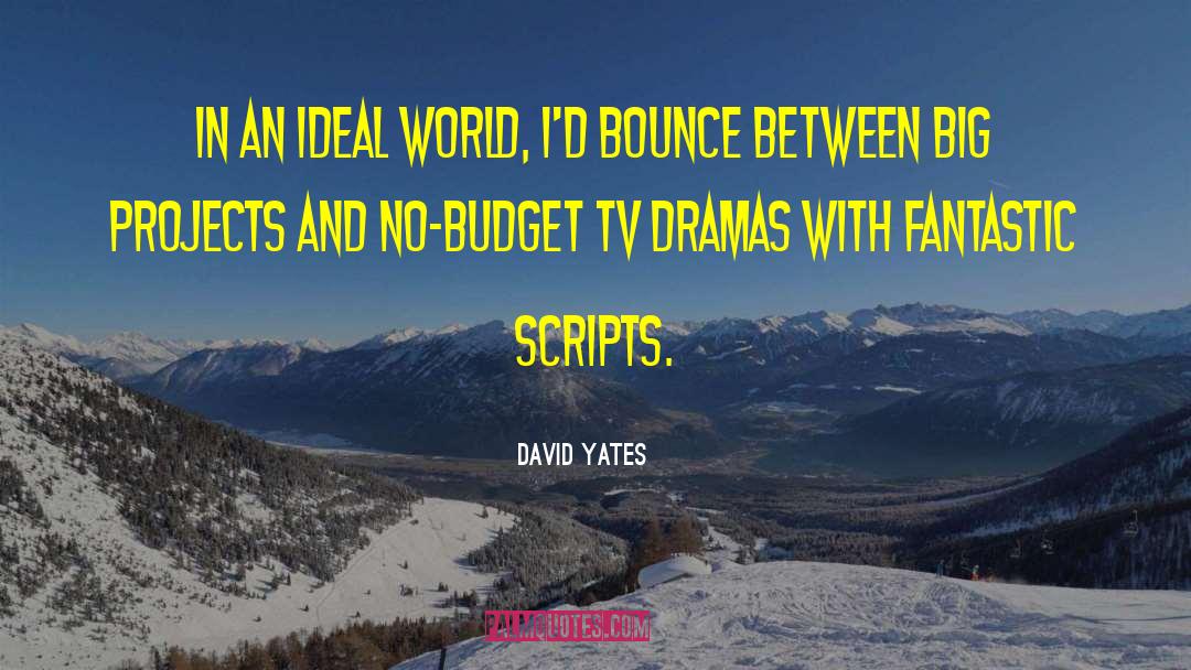 Budget Cuts quotes by David Yates