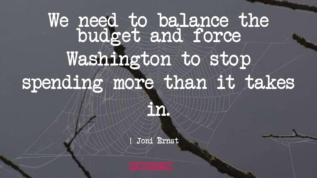 Budget quotes by Joni Ernst