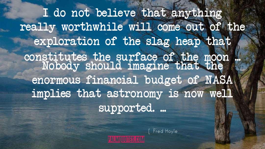 Budget quotes by Fred Hoyle