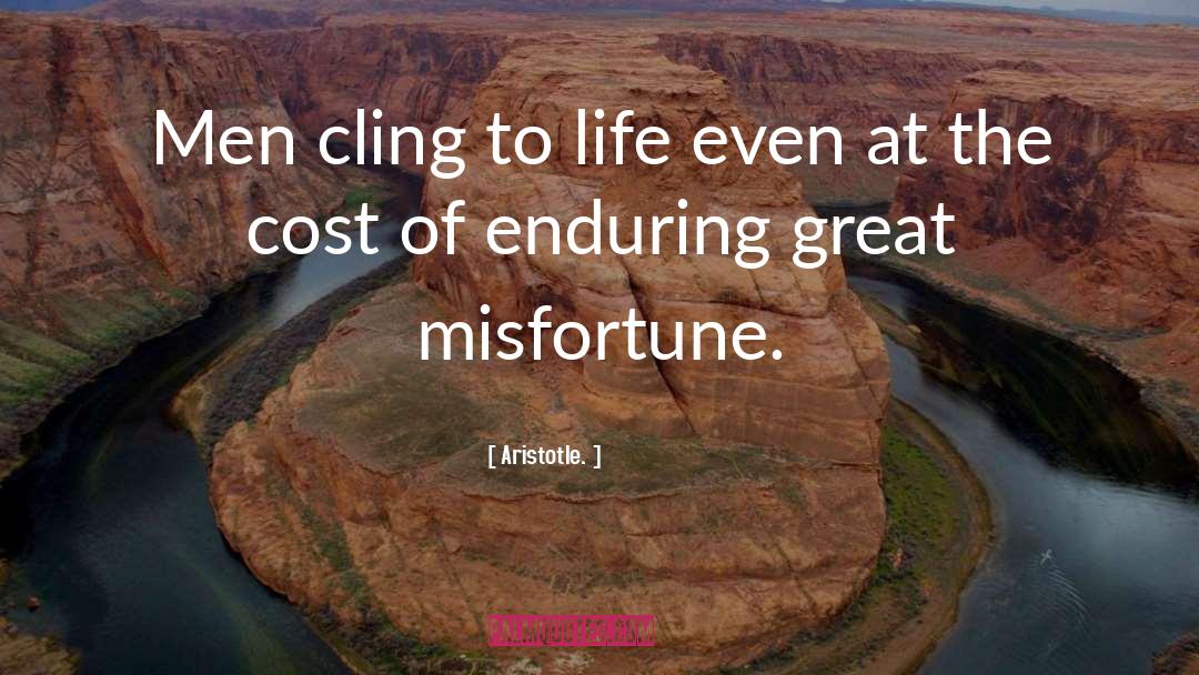 Budgeted Cost quotes by Aristotle.