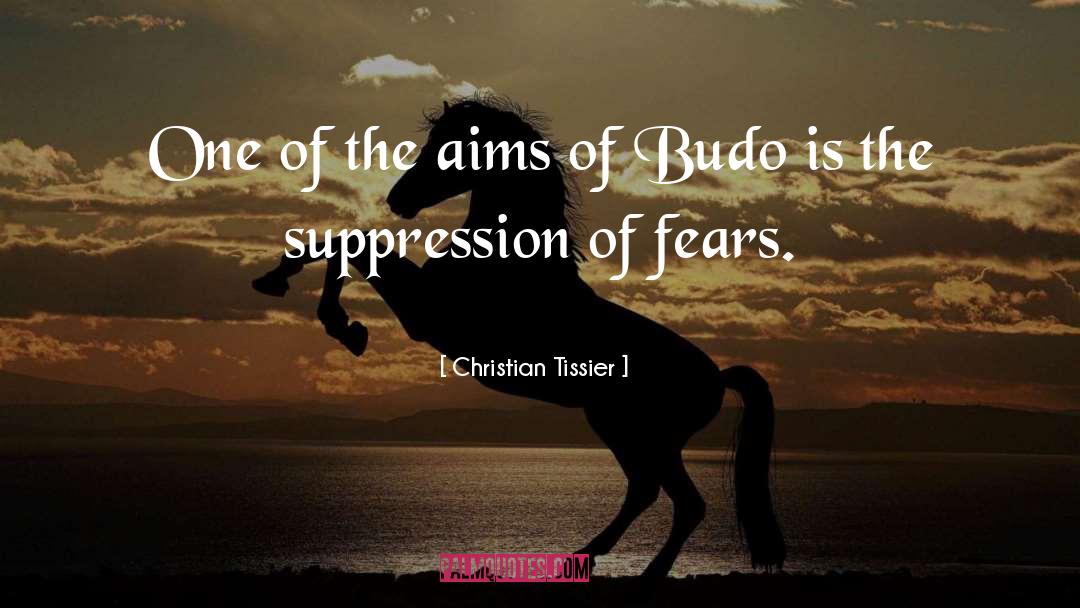 Budo quotes by Christian Tissier