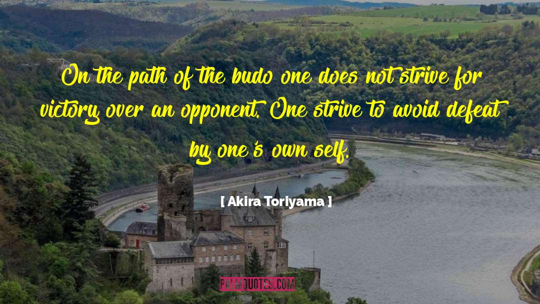 Budo quotes by Akira Toriyama