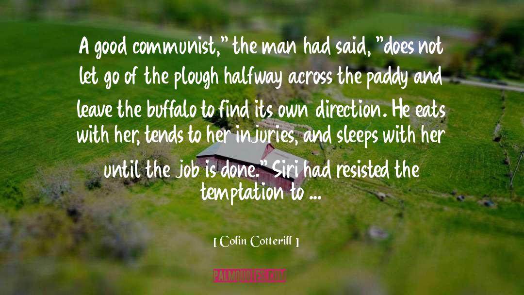 Buffalo quotes by Colin Cotterill