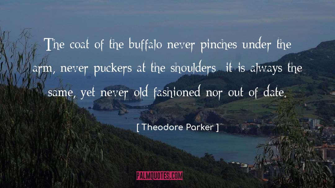 Buffalo quotes by Theodore Parker