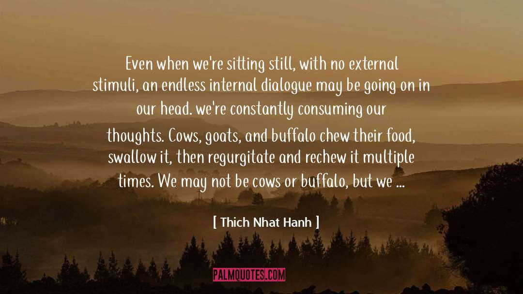 Buffalo quotes by Thich Nhat Hanh