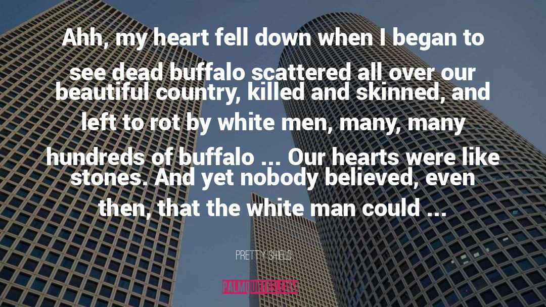 Buffalo quotes by Pretty Shield