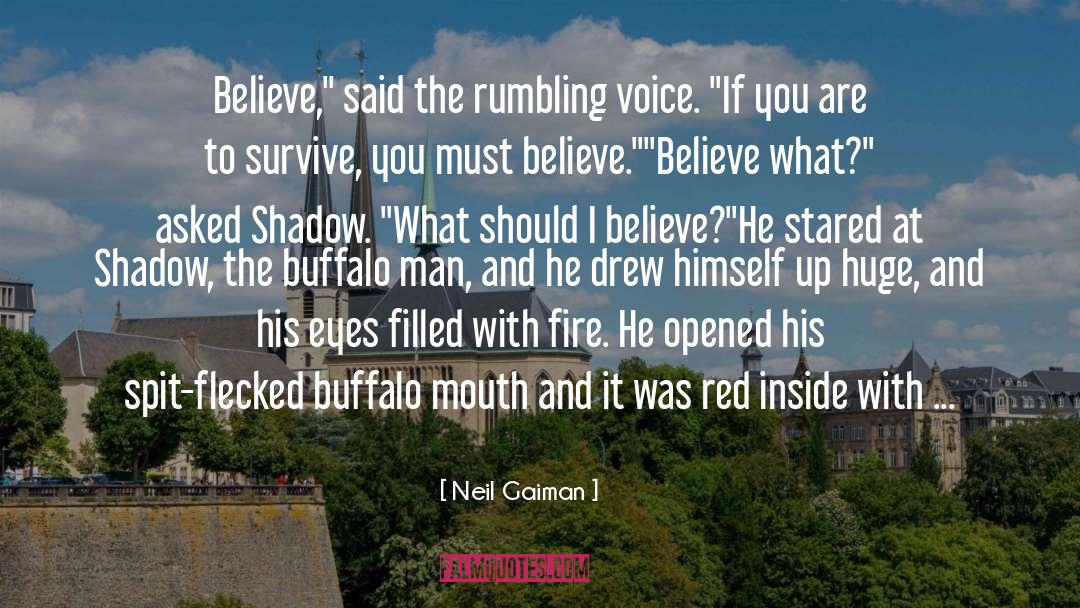 Buffalo quotes by Neil Gaiman