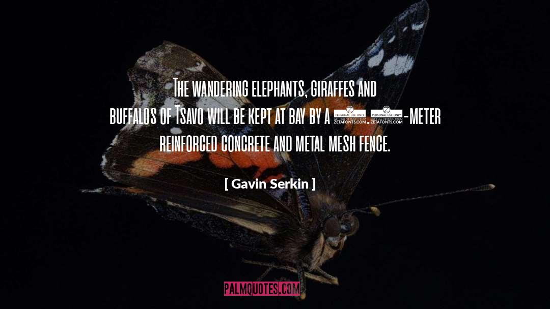 Buffalos quotes by Gavin Serkin