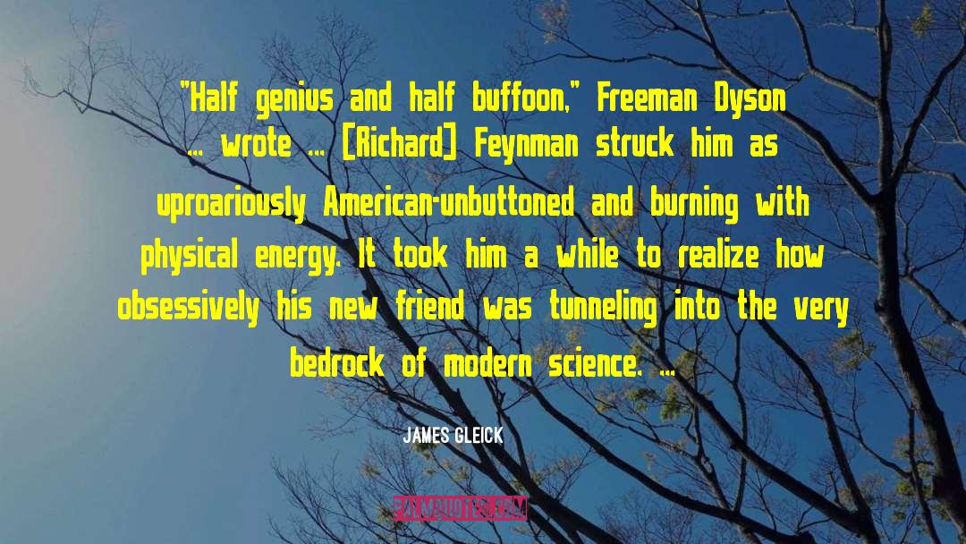 Buffoon quotes by James Gleick
