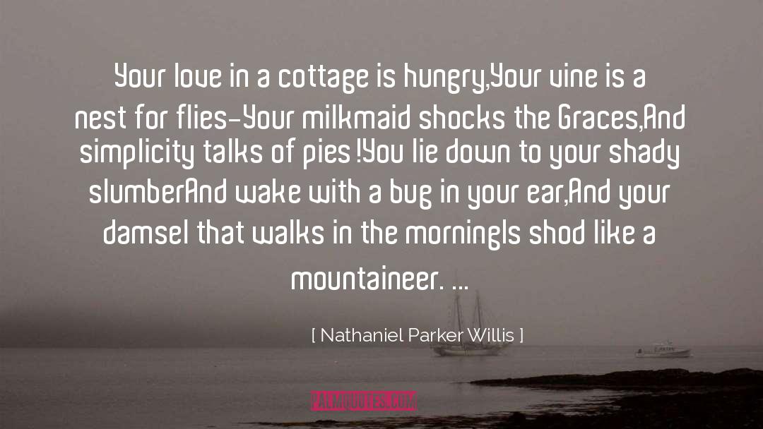 Bug quotes by Nathaniel Parker Willis
