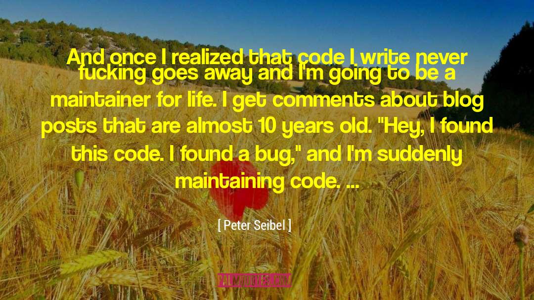 Bug quotes by Peter Seibel