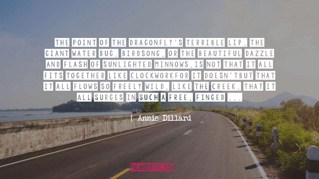 Bug quotes by Annie Dillard