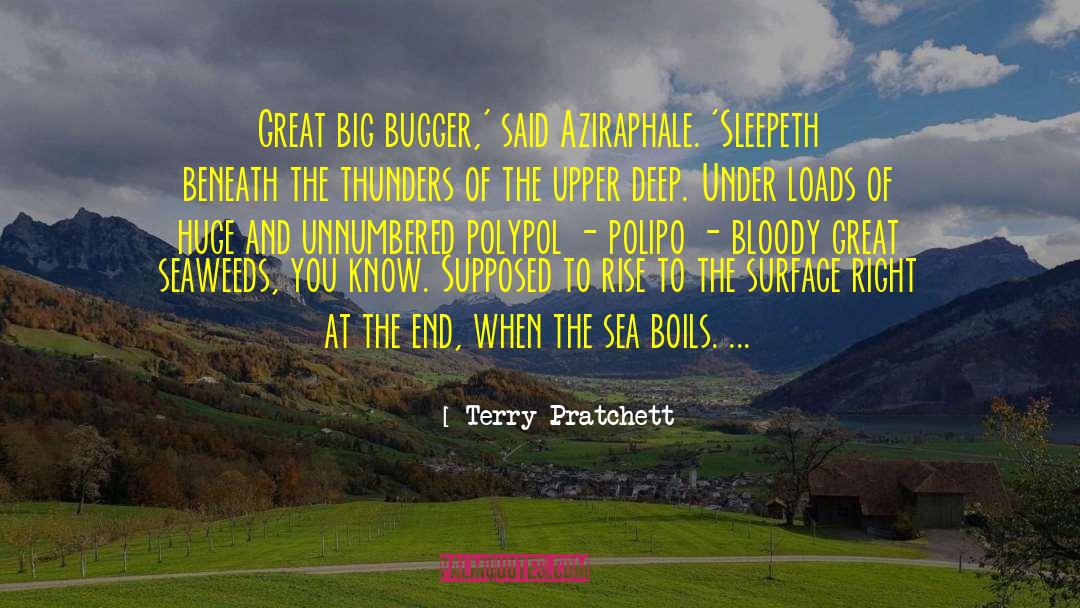 Bugger All quotes by Terry Pratchett