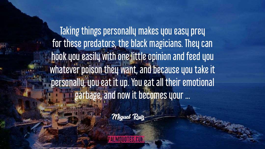 Buggered Garbage quotes by Miguel Ruiz
