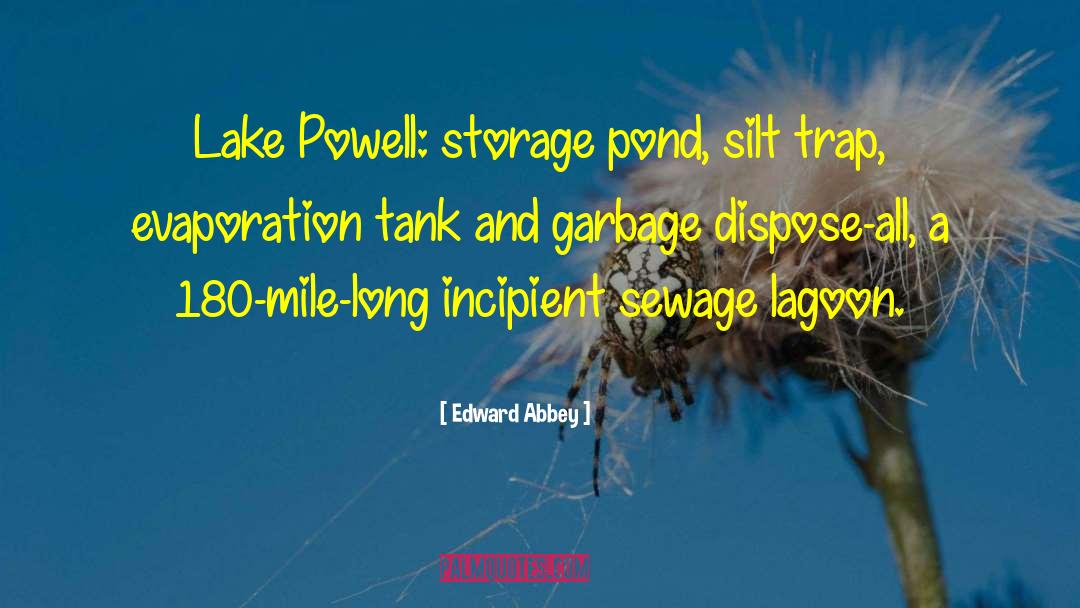 Buggered Garbage quotes by Edward Abbey