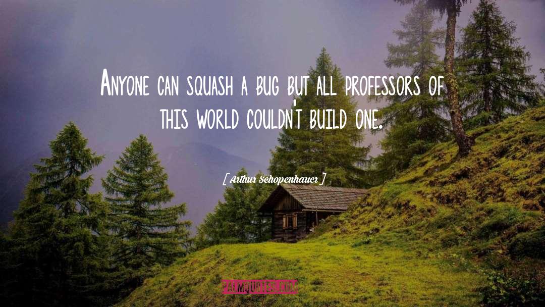 Bugs quotes by Arthur Schopenhauer