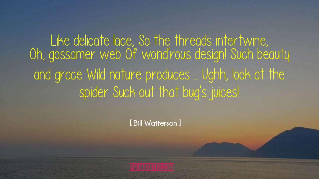 Bugs quotes by Bill Watterson