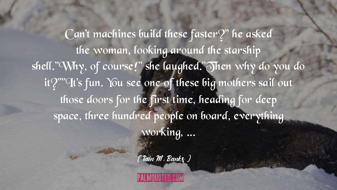Build A Better Foundation quotes by Iain M. Banks
